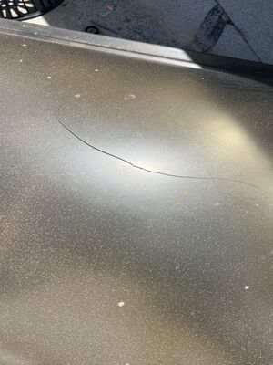 {{ custom_values.service_3 }} in {{custom_values.area_3})