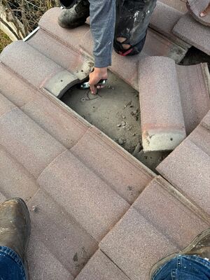 {{ custom_values.service_2 }} in {{custom_values.area_3})