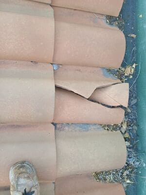 {{ custom_values.service_1 }} in {{custom_values.area_3})