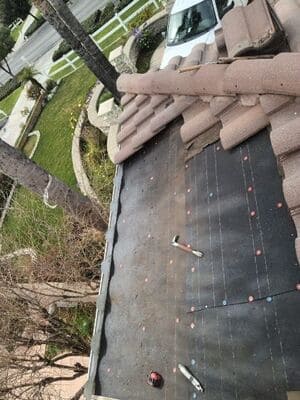 {{ custom_values.service_3 }} in {{custom_values.area_3})