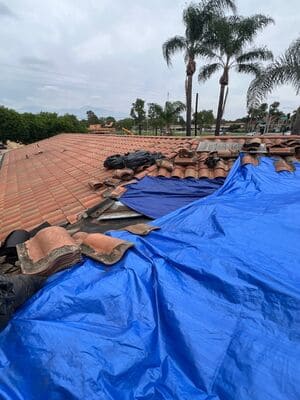 {{ custom_values.service_2 }} in {{custom_values.area_3})