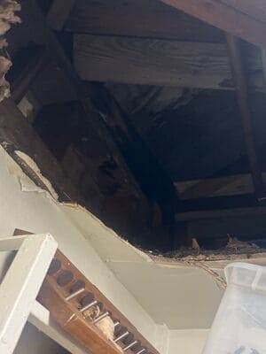 {{ custom_values.service_1 }} in {{custom_values.area_3})