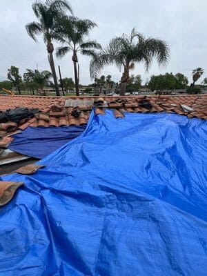 {{ custom_values.service_3 }} in {{custom_values.area_3})