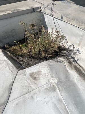 {{ custom_values.service_2 }} in {{custom_values.area_3})