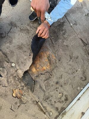 {{ custom_values.service_4 }} in {{custom_values.area_3})