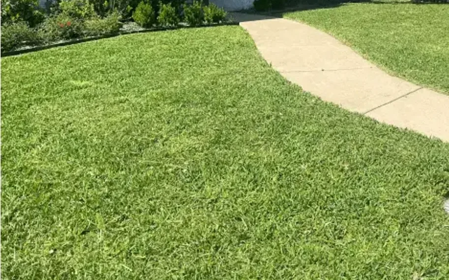 After: the same front lawn freshly mowed and manicured by GGG Landscaping
