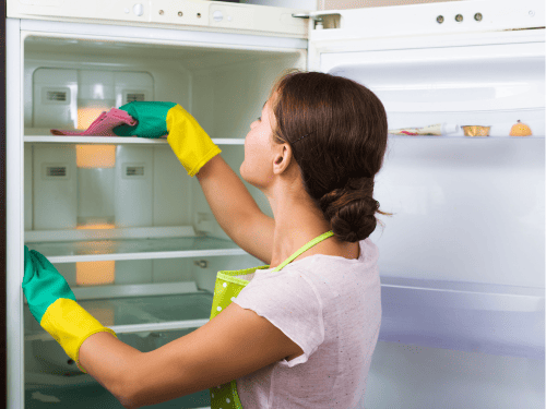 Inside Refrigerator Cleaning in Shelby Township