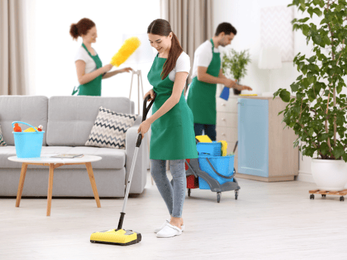 Inside Oven Cleaning 