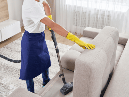 Inside Oven Cleaning Shelby Township