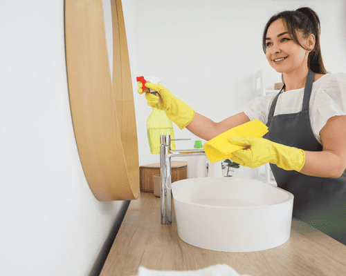 House Cleaning Services Shelby Township