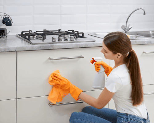 House Cleaning Services Shelby Township