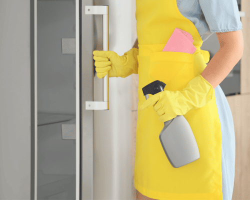 Washington Township Inside Refrigerator Cleaning