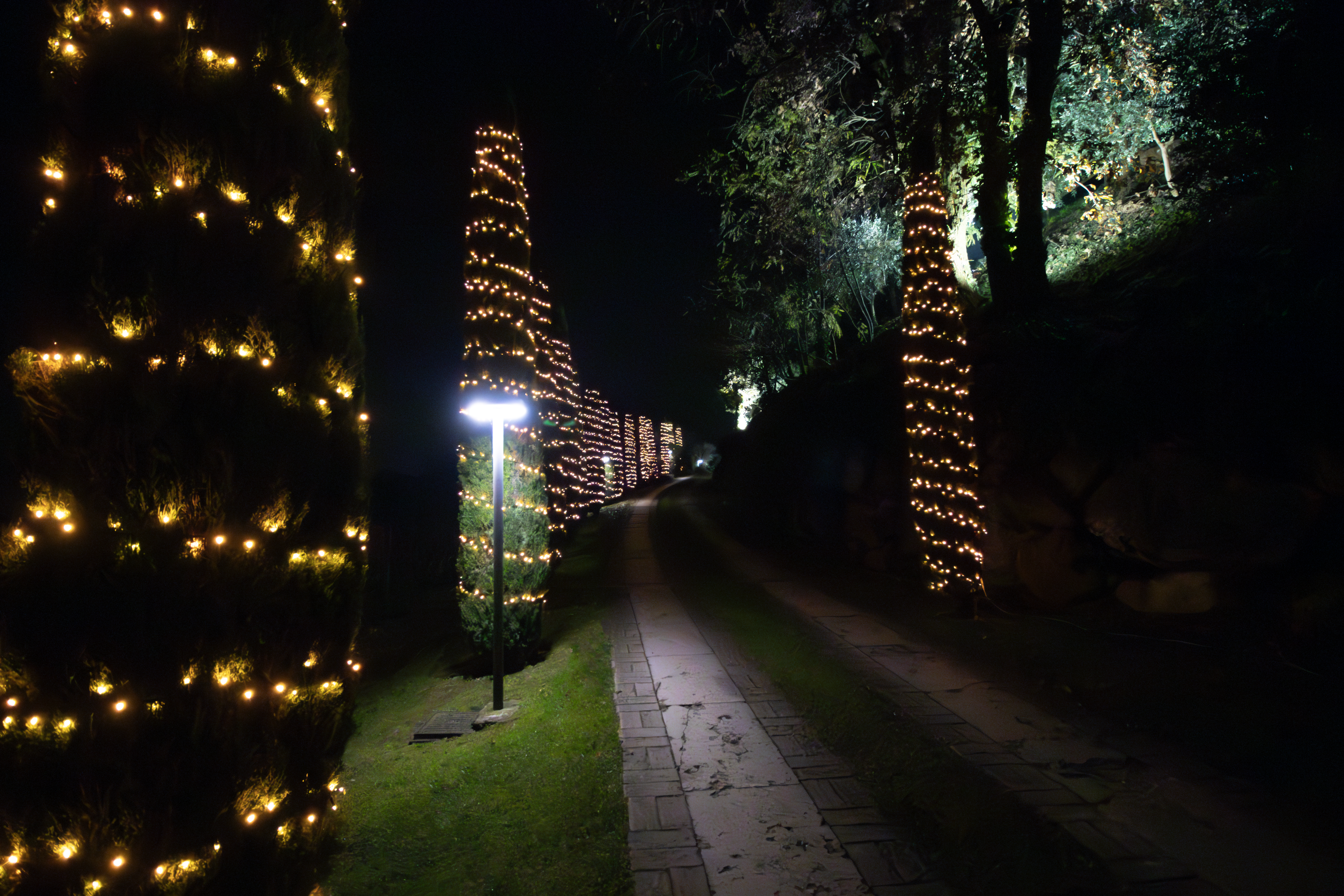 Ingresso del Casino di Caccia illuminato per il periodo natalizio