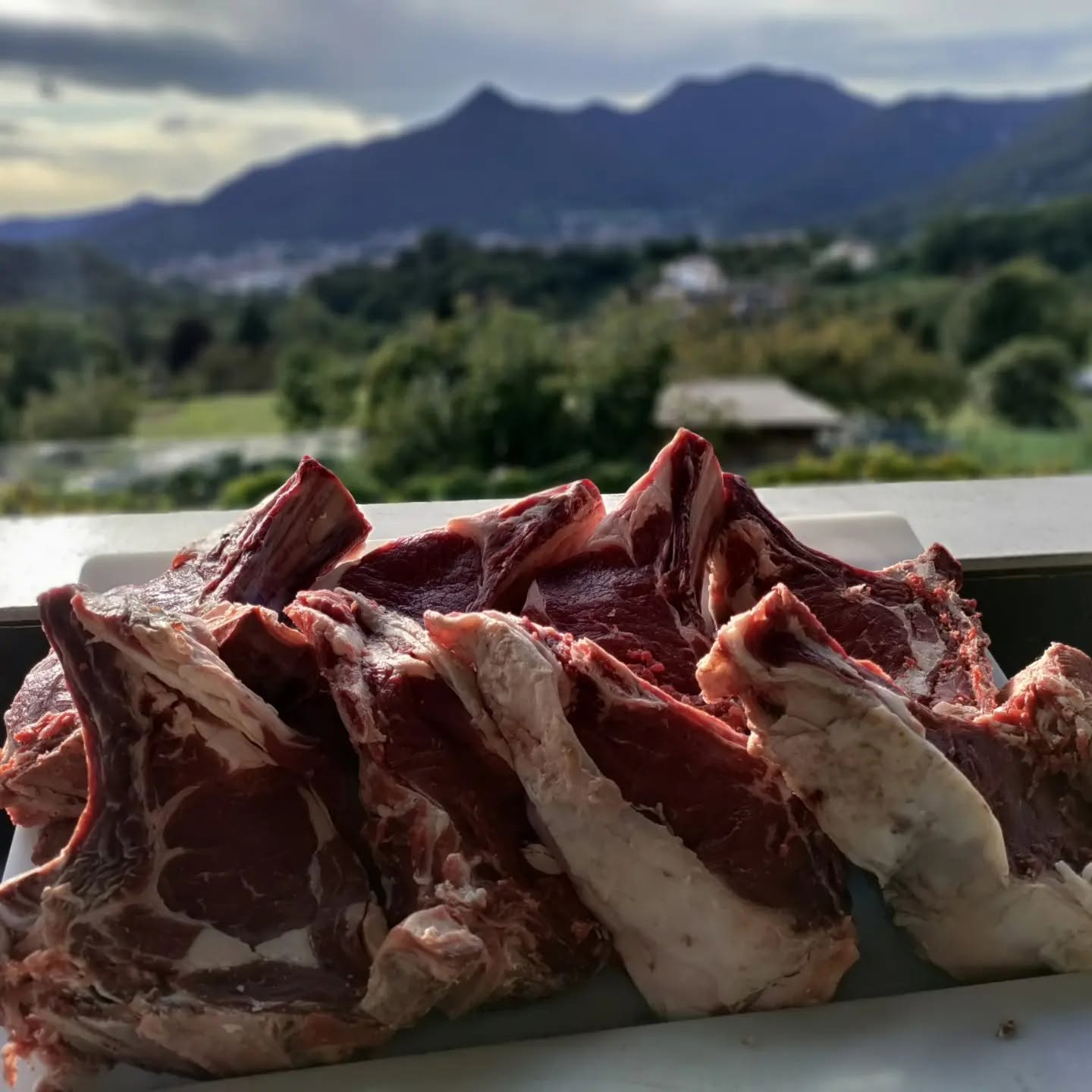 Bottiglia importante con calice e carne alla brace da Vista Falò