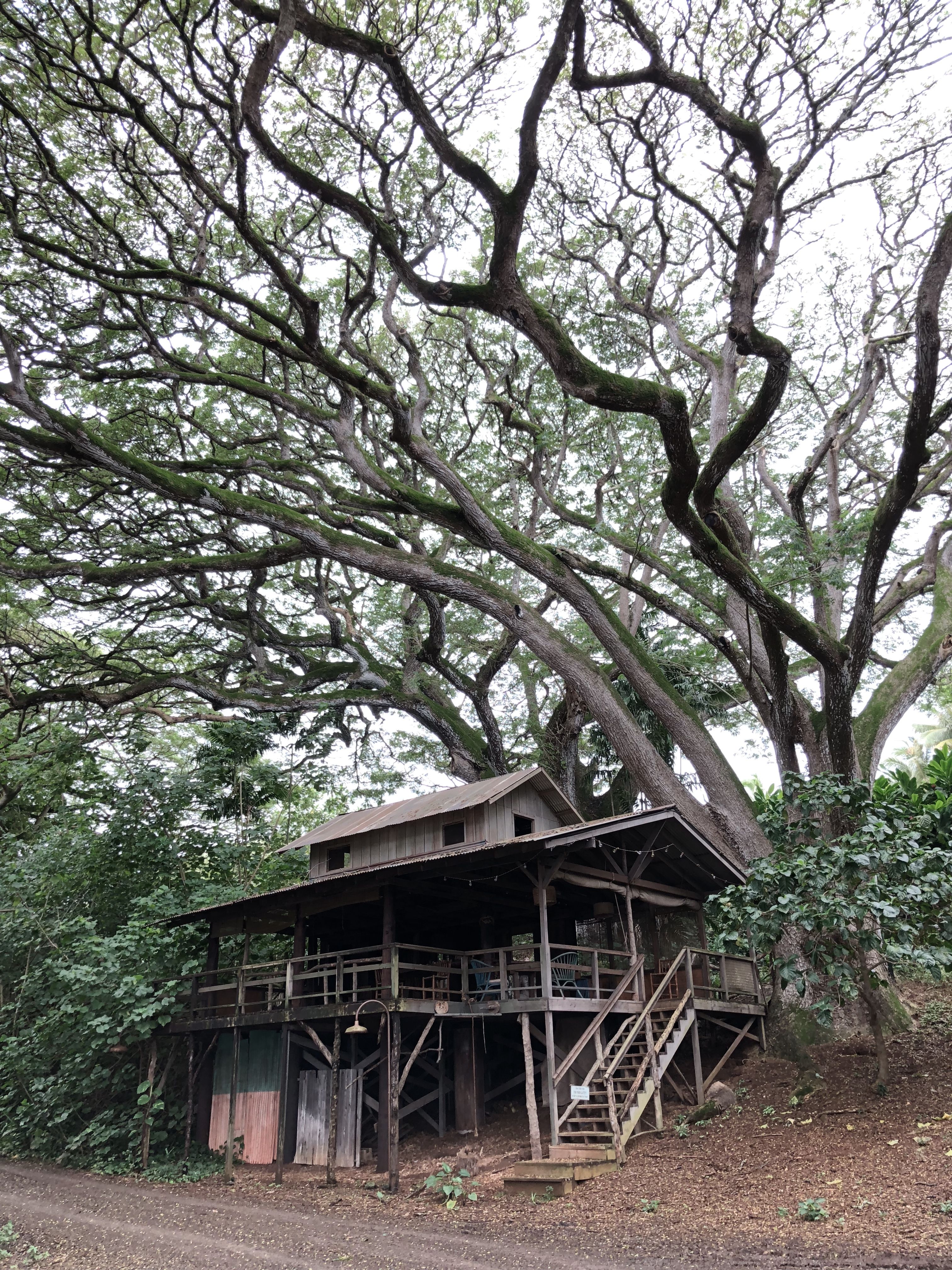 Renovated house