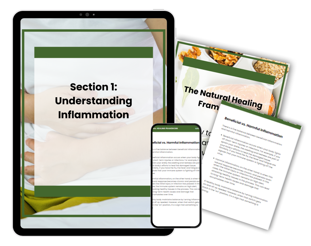 Understanding Chronic Inflammation