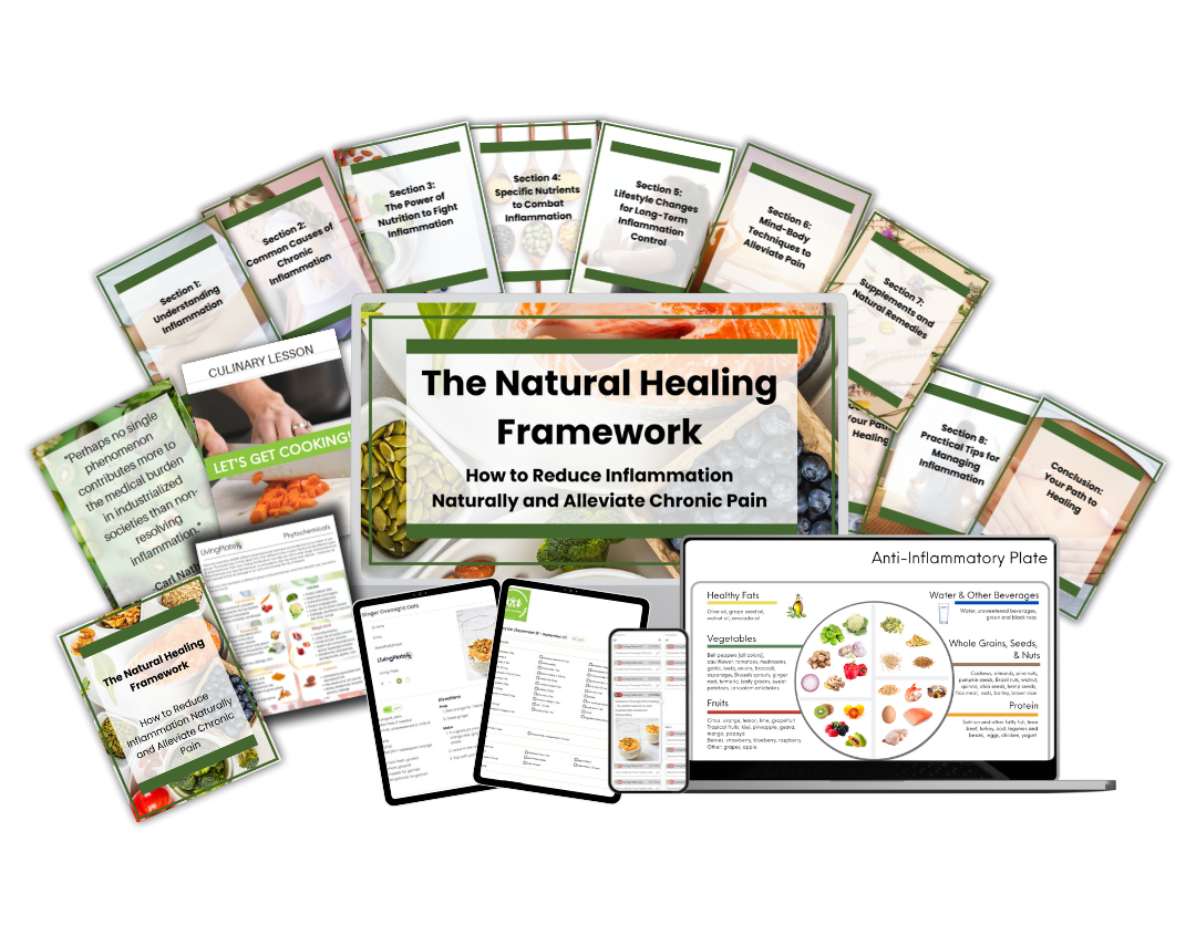 The Natural Healing Framework - Anti-Inflammation Diet