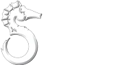 Design Partner