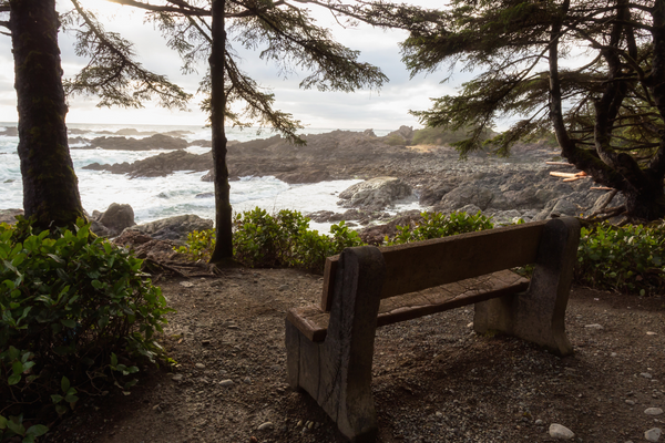 spring camping on vancouver island