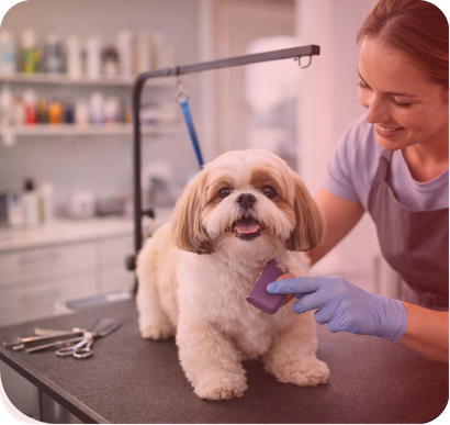 Pet Grooming