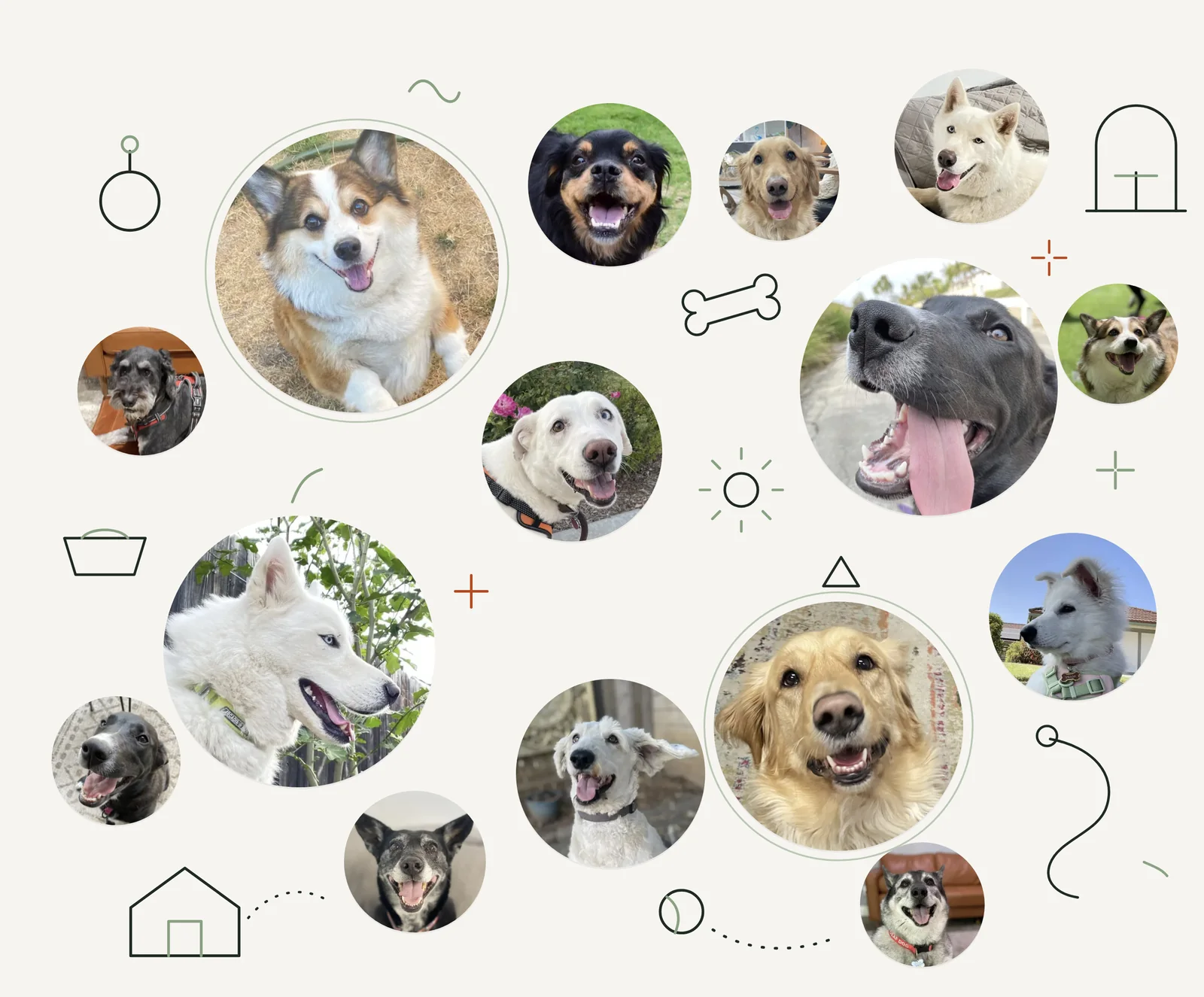 Eighteen dogs who have boarded at Mina House, in round portraits: shepherds, retrievers, a husky, several small mixes, and Mina the corgi among them