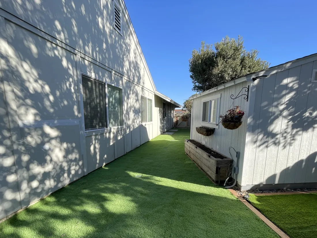 The fenced side yard, checked between stays