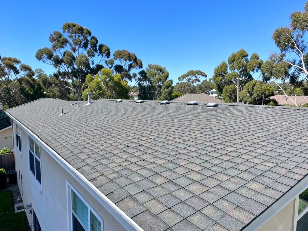 Affordable Roof Replacement and Repair in Palo Alto by Grace Roofing