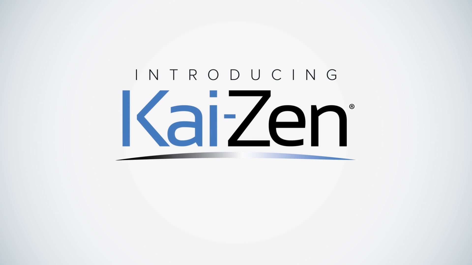Kai-Zen: Intro - Executives