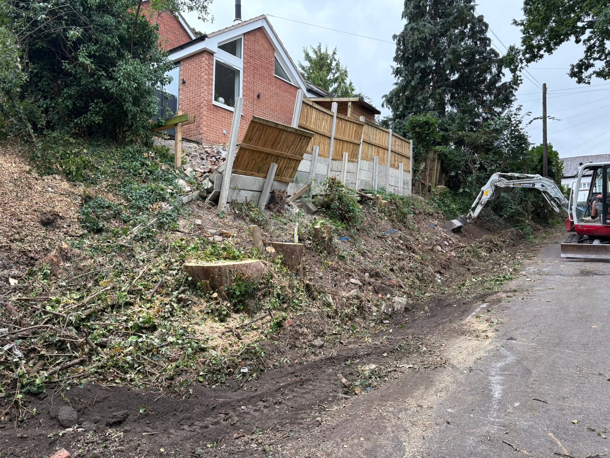 Gabion retaining wall before: overgrown bank and failing fence