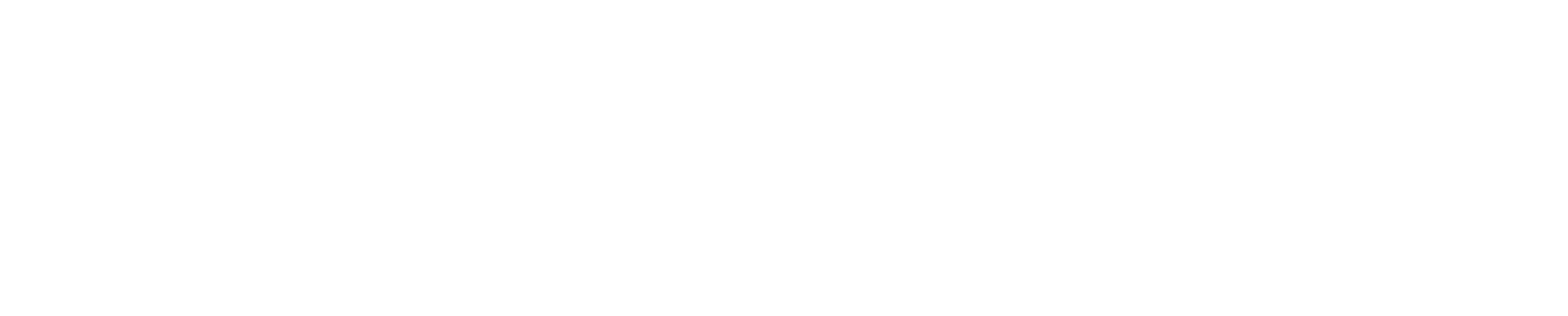 Flow Athletic
