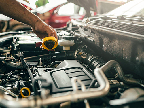 Lutz Oil Change
