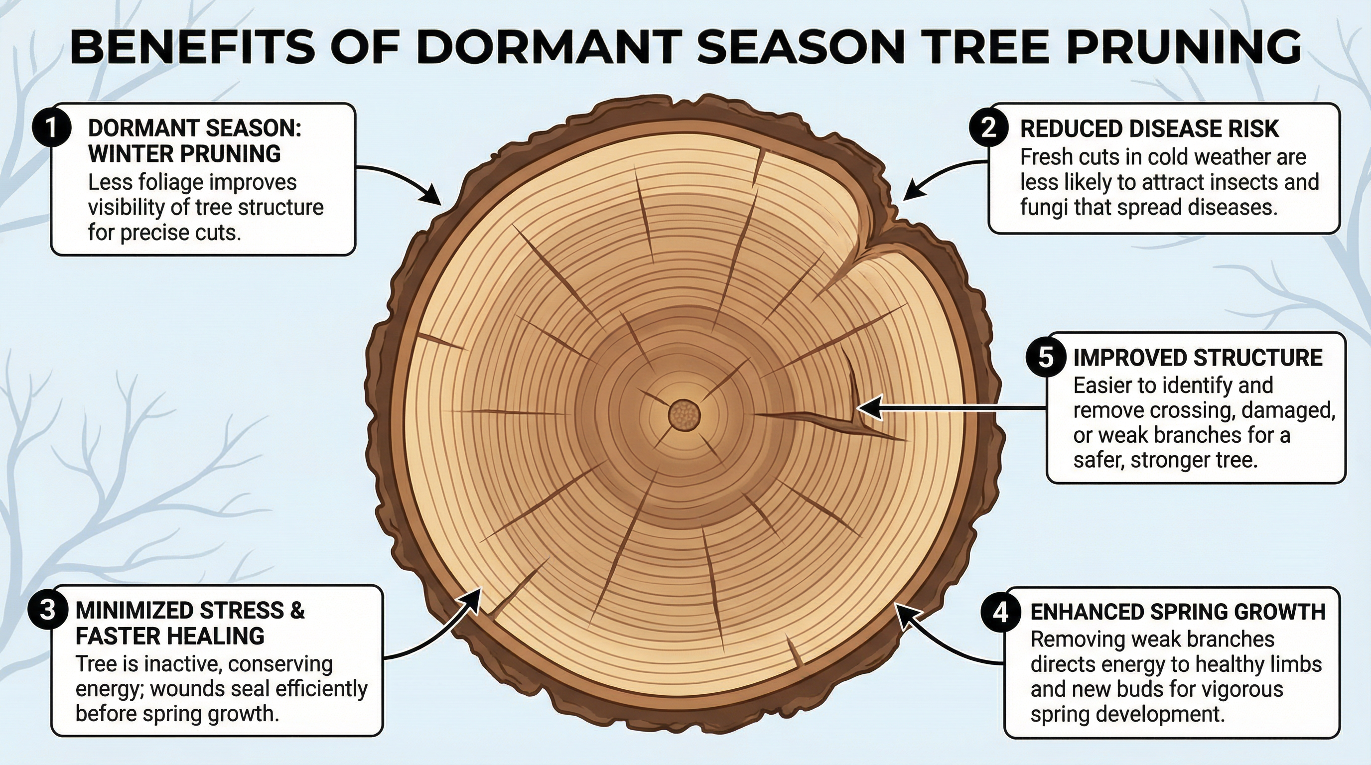 Visual diagram showing tree cross-section with callouts explaining dormant season benefits (slower sap flow