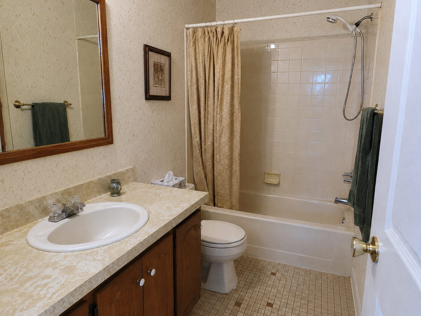 Bathroom before remodel