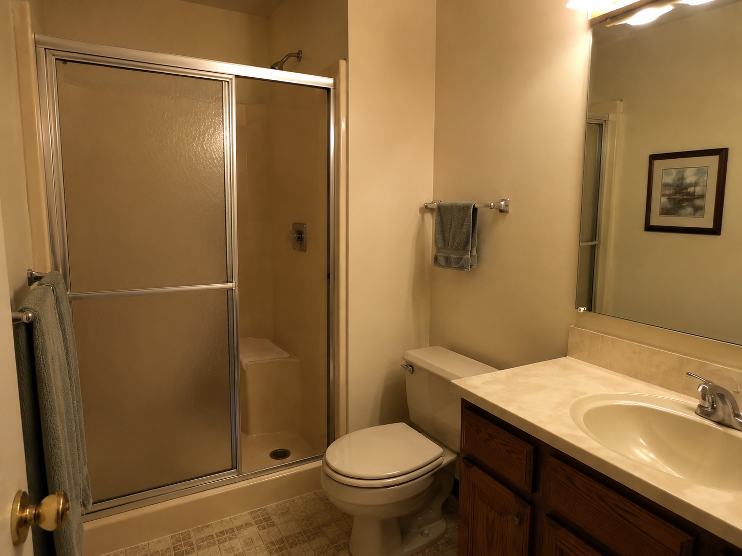 Bathroom before remodel