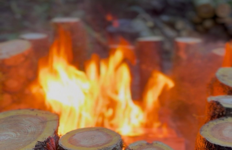 Woman in peaceful forest setting