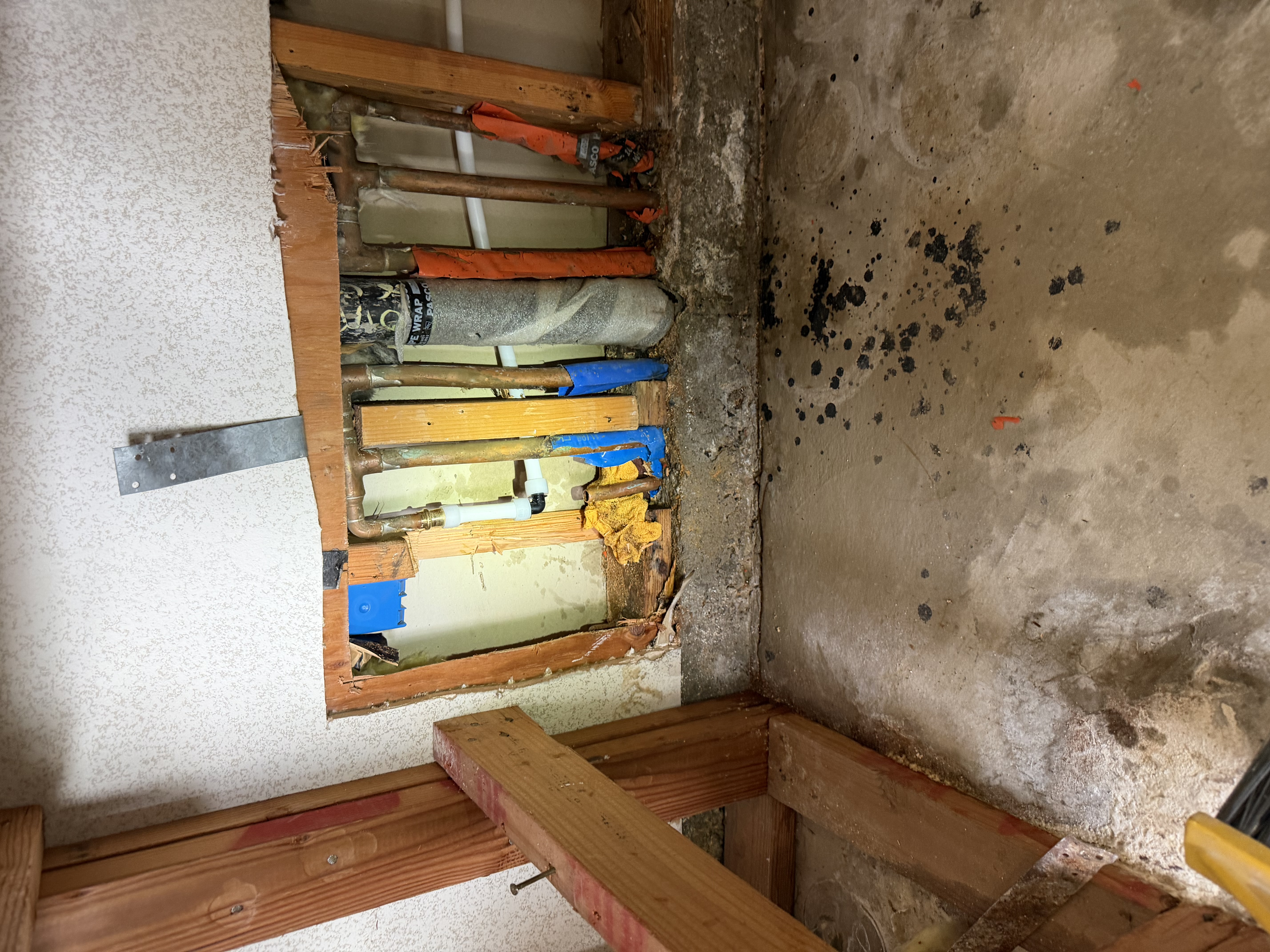 Expert plumbing technician at work