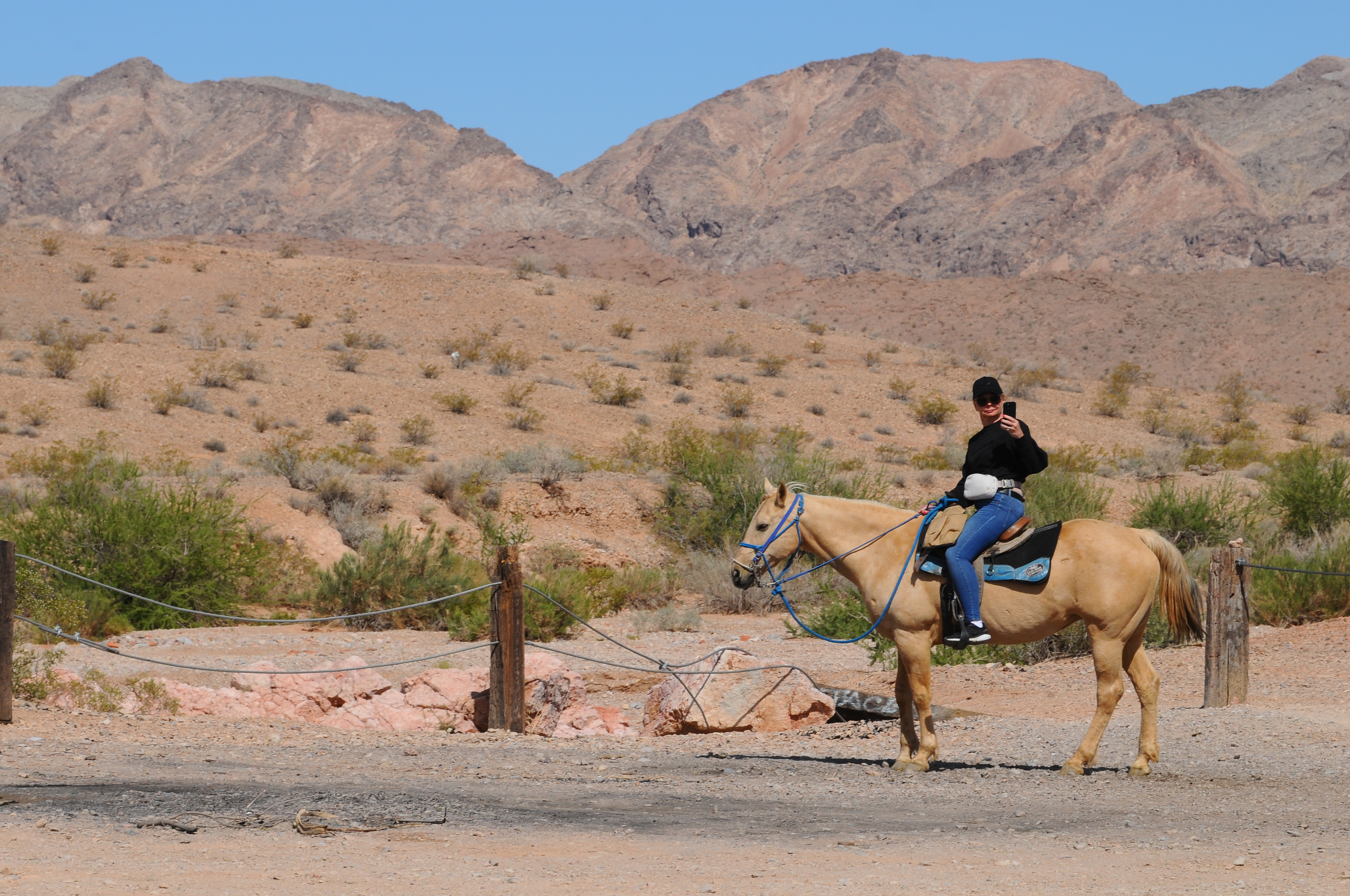 Horse Back Riding Horse Back Riding
