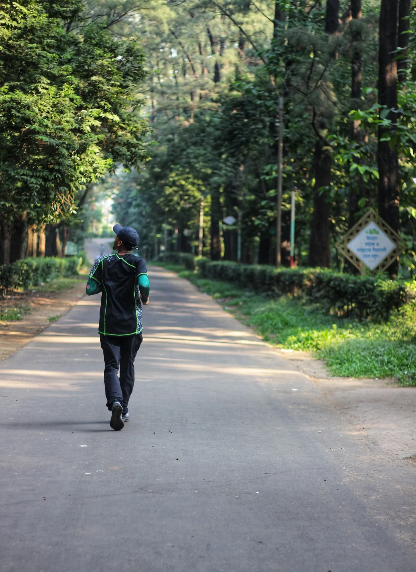 A runner on a tree-lined path in morning light