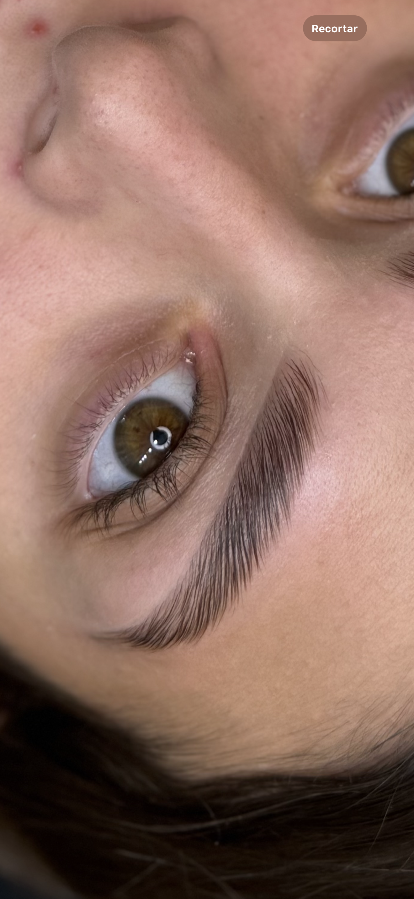 Laminado de cejas