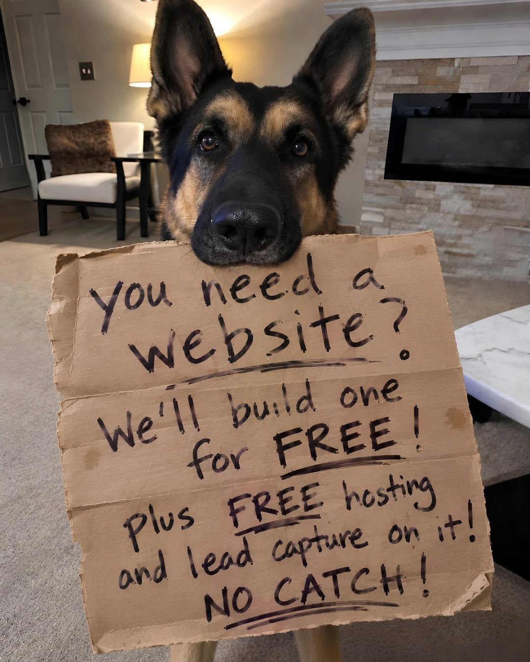 Felex the German Shepherd holding a cardboard sign: You need a website? We'll build one for FREE! Plus FREE hosting and lead capture on it! NO CATCH!