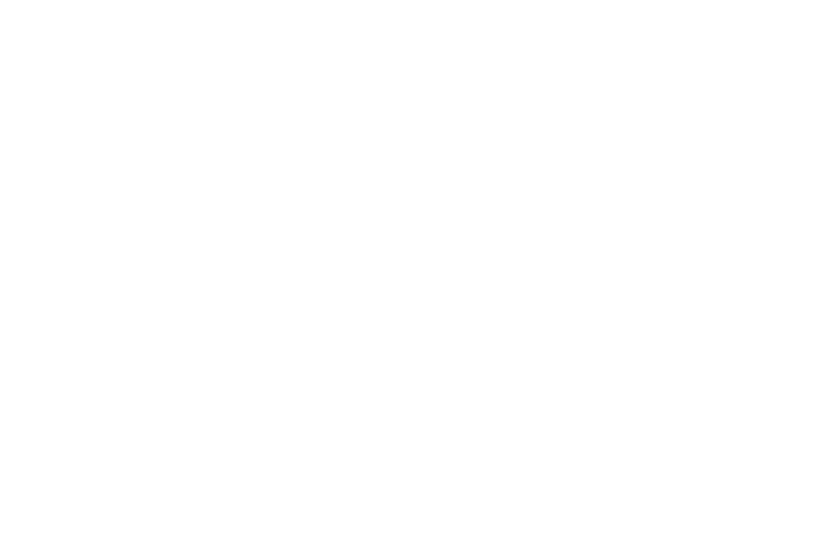 Elite Agent