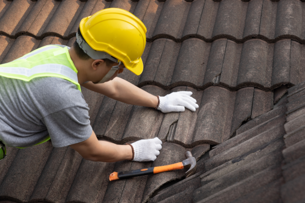 Roof Cleaning & Preventive Maintenance