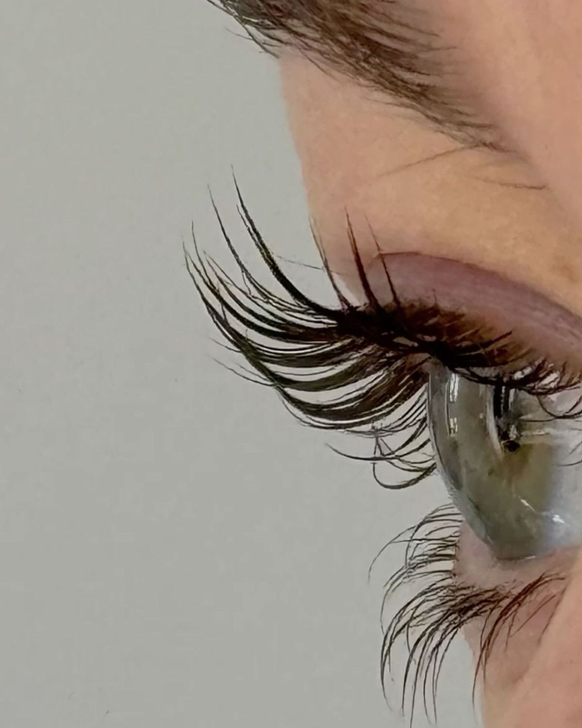 Lash Extensions