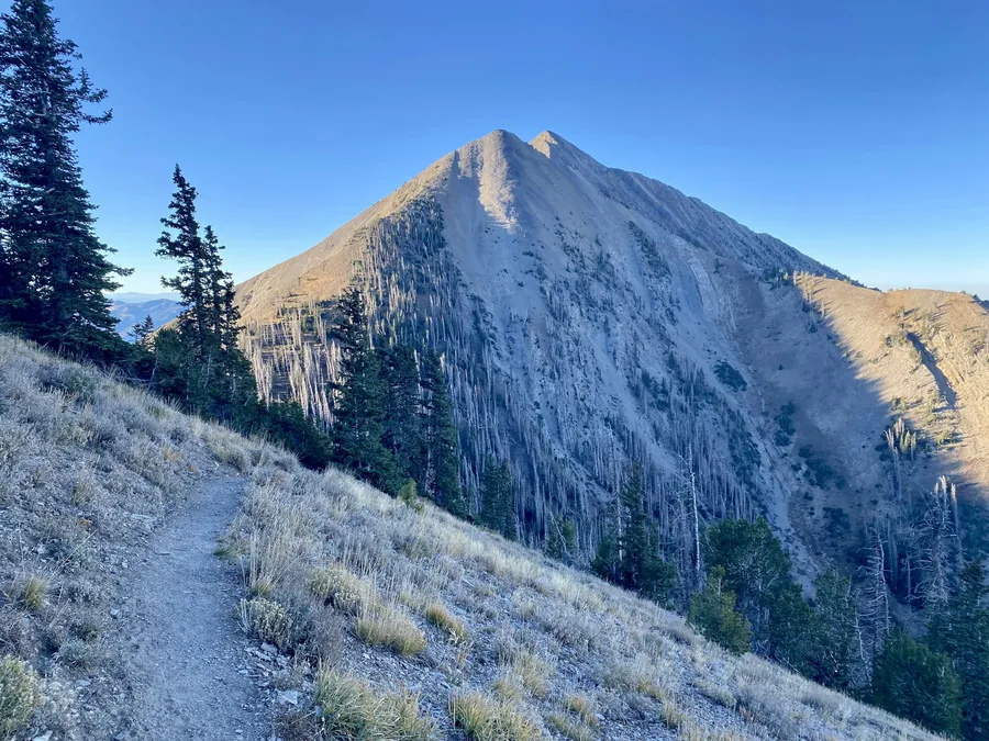 Trail leading toward the summit of Mount Nebo, the high peak southeast of Payson, Utah