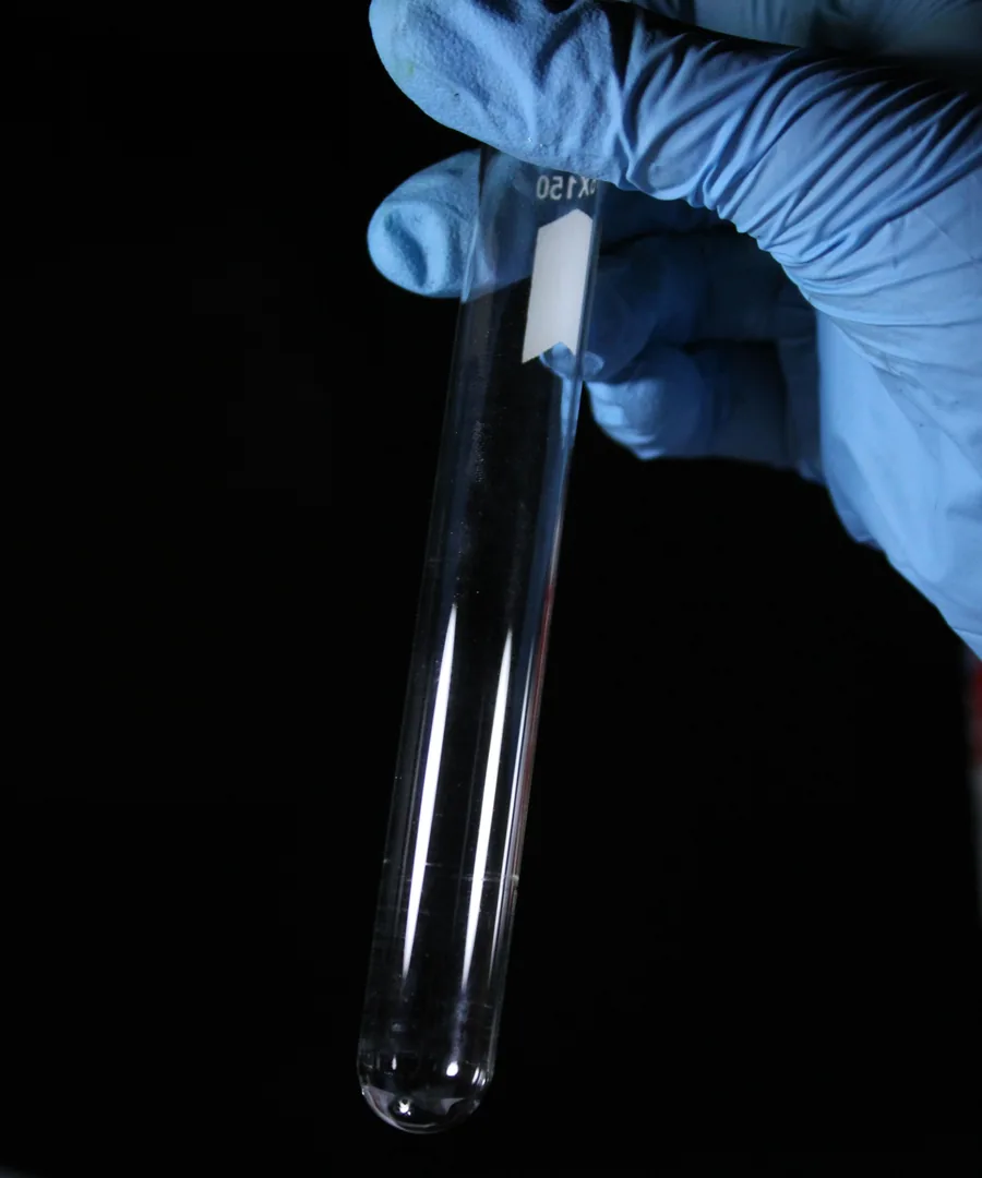 Gloved hand holding up a clear glass test tube