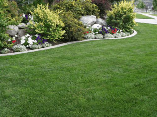 Full-Service Landscaping & Design in Greenville County