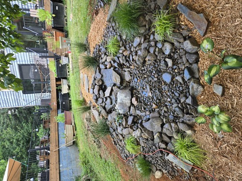 Sod Installation & Lawn Renovation Greenville County