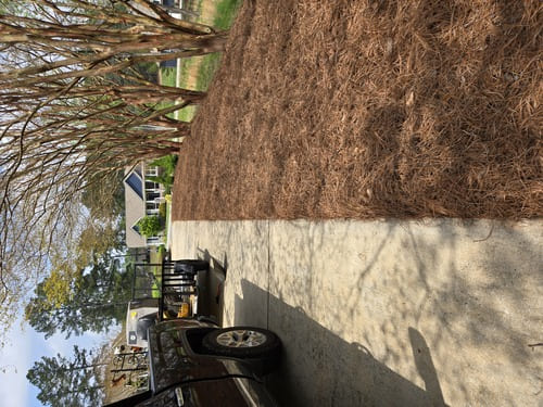 Stamped & Decorative Concrete 