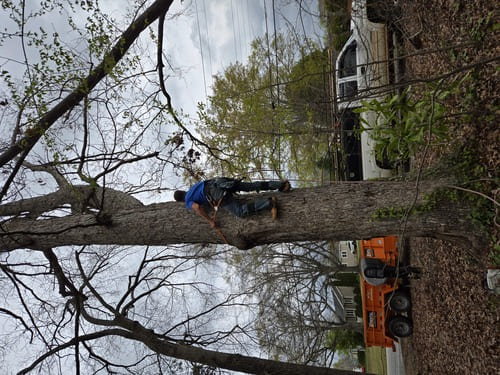 Retaining Walls & Structural Landscaping 