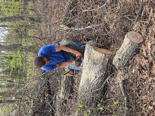 Grading, Leveling & Site Preparation Greenville County